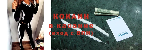 шишки Ельня