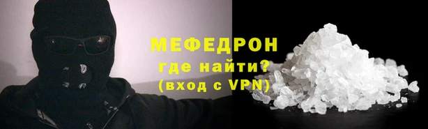 шишки Ельня