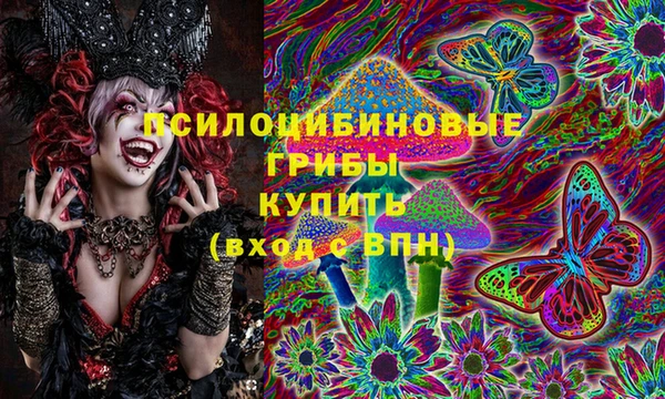 стаф Елабуга