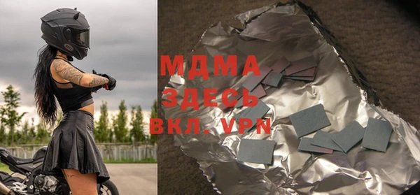 шишки Ельня