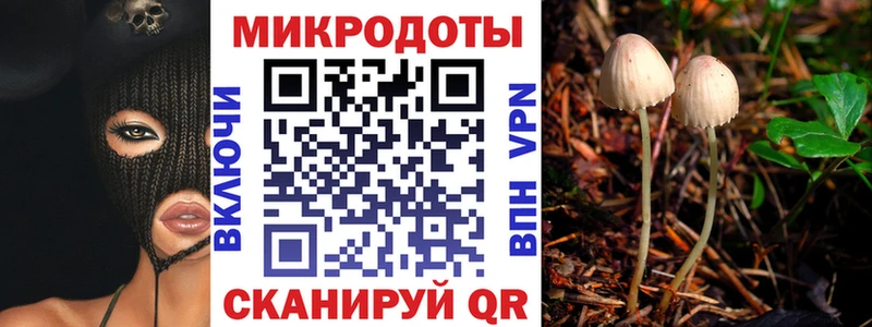 Псилоцибиновые грибы Psilocybine cubensis  Купить где  Звенигород 